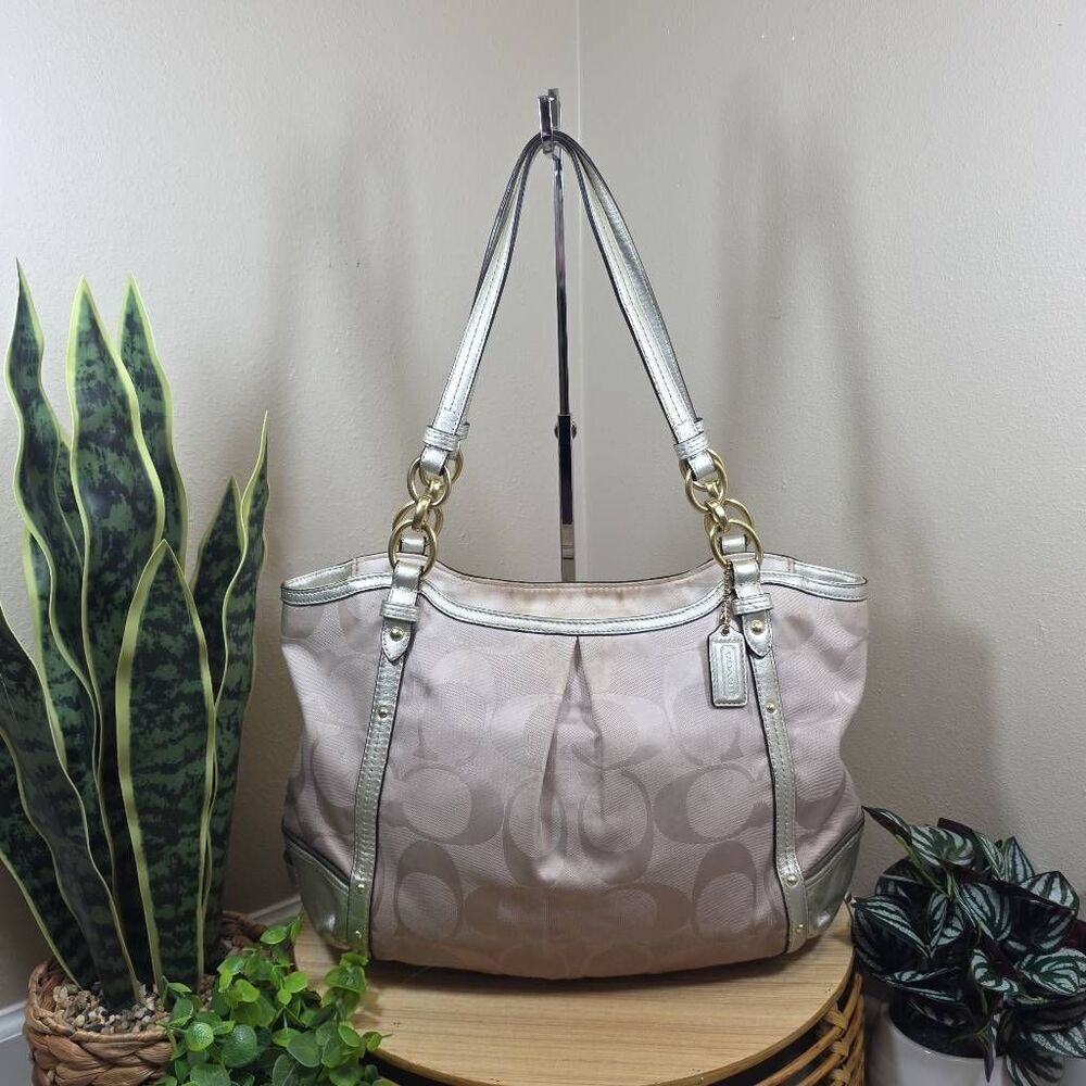 Coach Alexandra Chain Ombre Tote